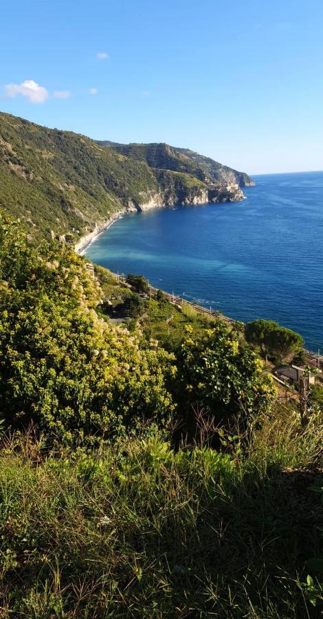 Appartamento Giumin Corniglia Eksteriør billede